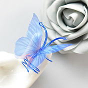 青い蝶のリング