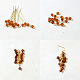 Boucles d'oreilles en perles de raisin-3