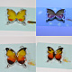 Butterfly Shape Earrings Made Of Resin-5
