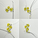 Bracelet de fleurs en perles de graines-5